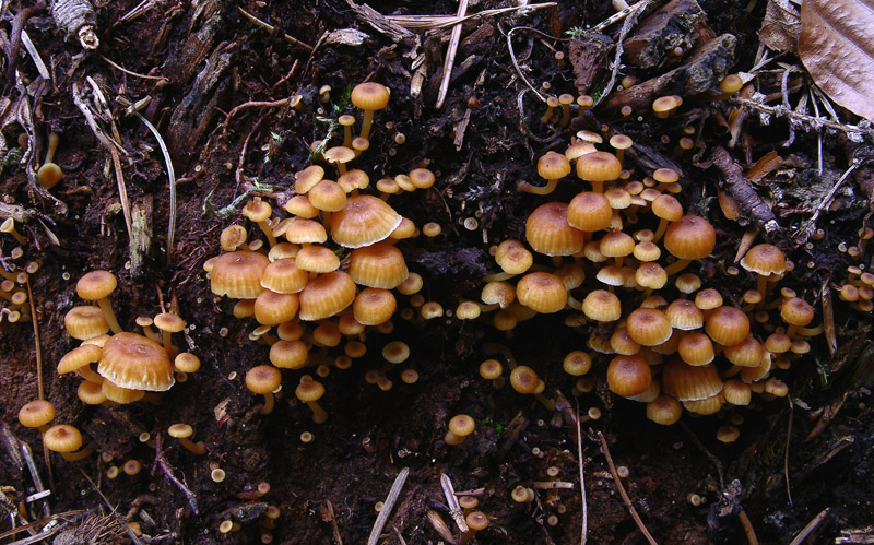 Ritrovamenti del 10 marzo.